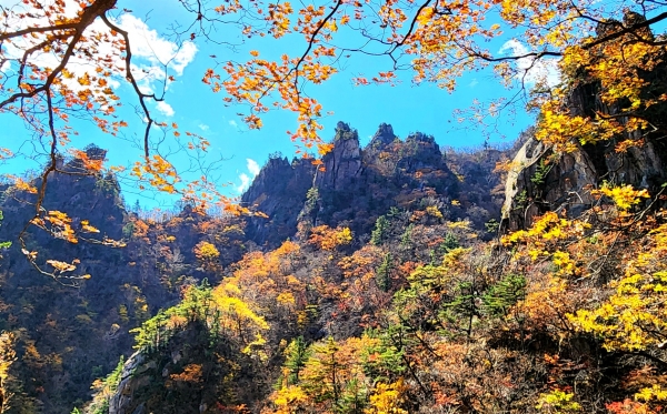 흘림골 단풍. 사진=메이저카지노사이트 칼럼니스트