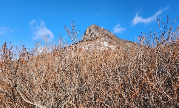산행을 시작하면서 올려다본 전망. 처음엔 우뚝선 봉우리가 사설 바카라 정상인 줄 알았다. 사진=박경희 칼럼니스트