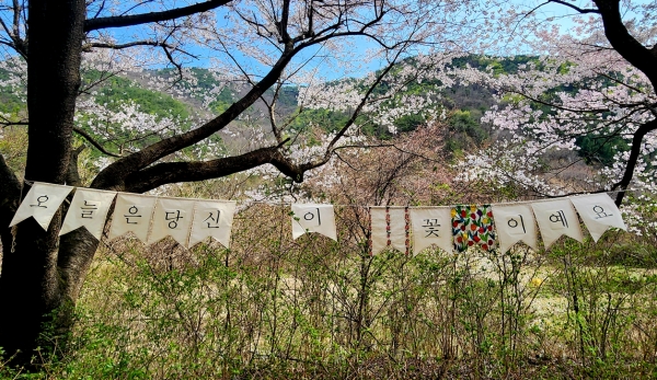2024년 4월 보곡산 환영 카드. 사진=코리안 스피드 바카라 e 칼럼니스트