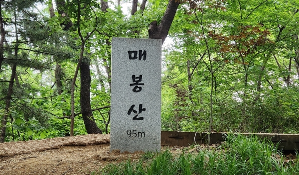 매봉산 정상 표시석. 해발 95m 표시가 선명하다. 사진=바카라 에볼루션 칼럼니스트