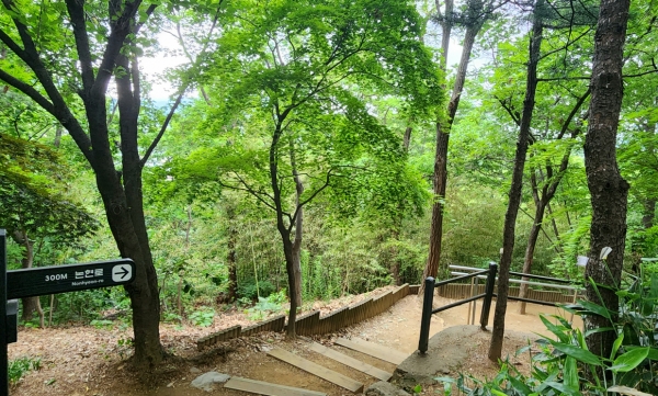 매봉산 둘레 길. 사진=바카라 에볼루션 칼럼니스트