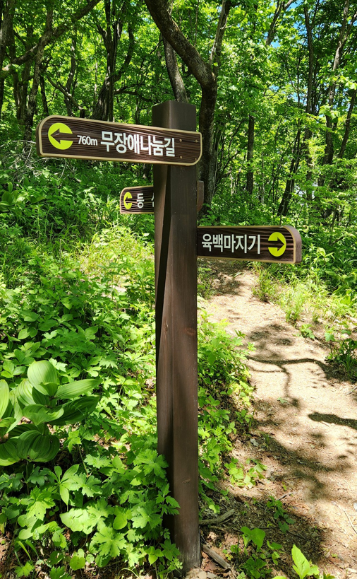 카지노사이트 추천 정상으로 가는길에 있는 이정표. 사진=박경희 칼럼니스트