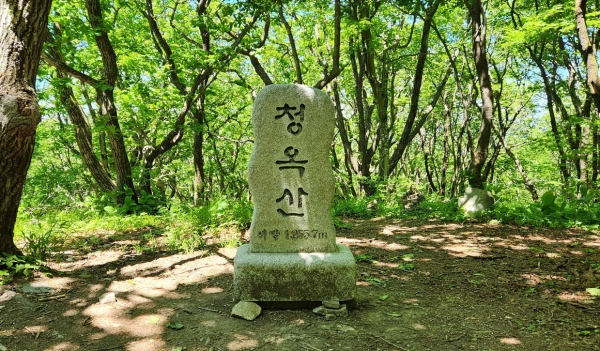 해발 1255.7m 가 표시된 카지노사이트 추천 정상석. 사진=박경희 칼럼니스트