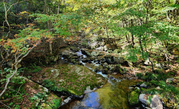 대암산 계곡. 사진=슬롯 머신 게임 칼럼니스트