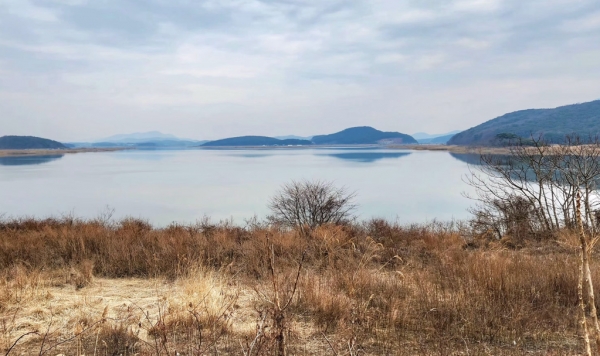 광천천. 사진=바카라 토토 칼럼니스트