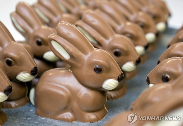 토토 카지노